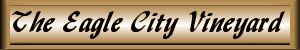 The Eagle City Vineyard