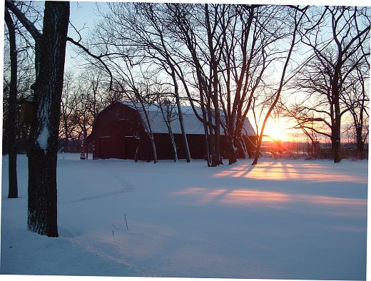 Vineyard - Winter 2004-2005